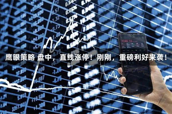 鹰眼策略 盘中，直线涨停！刚刚，重磅利好来袭！