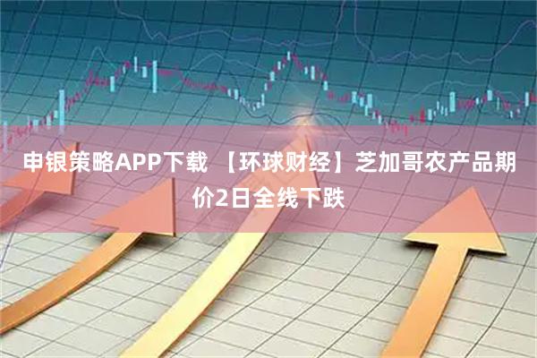 申银策略APP下载 【环球财经】芝加哥农产品期价2日全线下跌