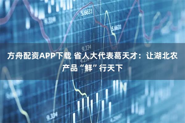 方舟配资APP下载 省人大代表葛天才：让湖北农产品“鲜”行天下