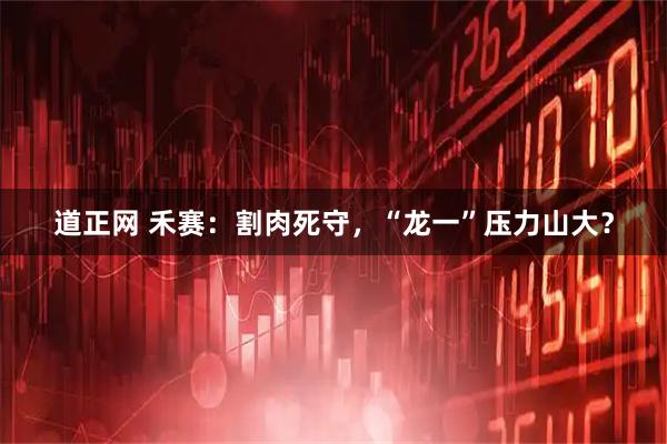 道正网 禾赛：割肉死守，“龙一”压力山大？