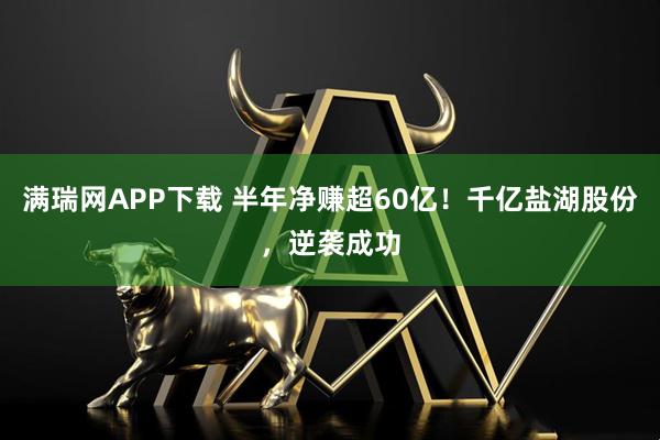 满瑞网APP下载 半年净赚超60亿！千亿盐湖股份，逆袭成功